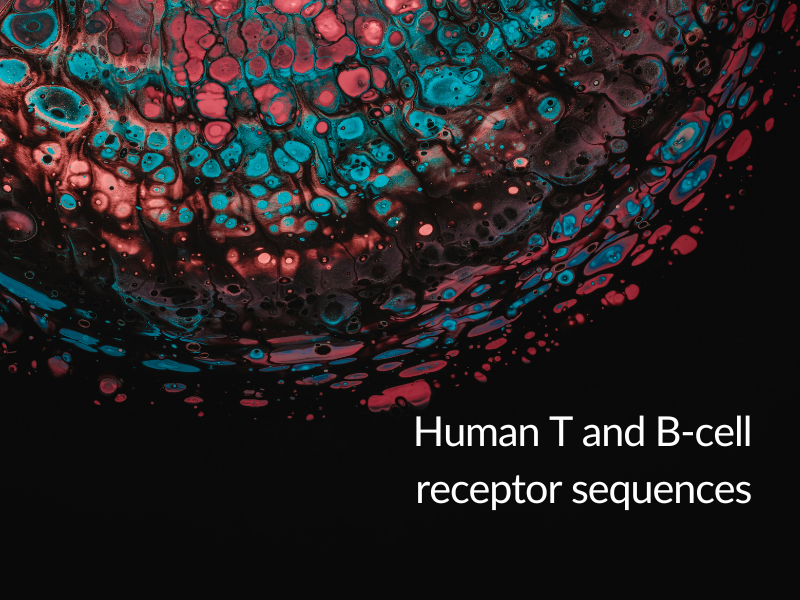 Human T and B-cell receptor sequences represented by a cell membrane on a red and blue color spectrum