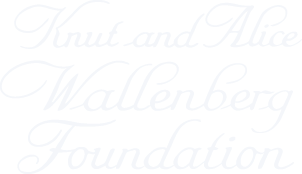 Knut and Alice Wallenberg Foundation logo